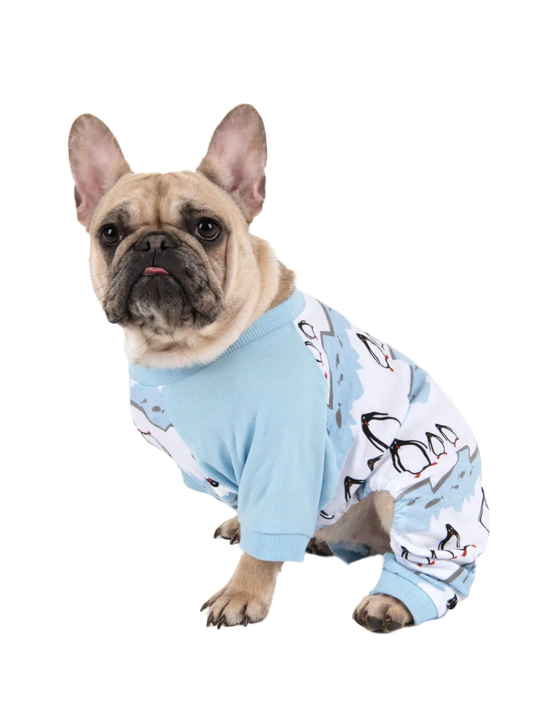 Dog Print Pajamas