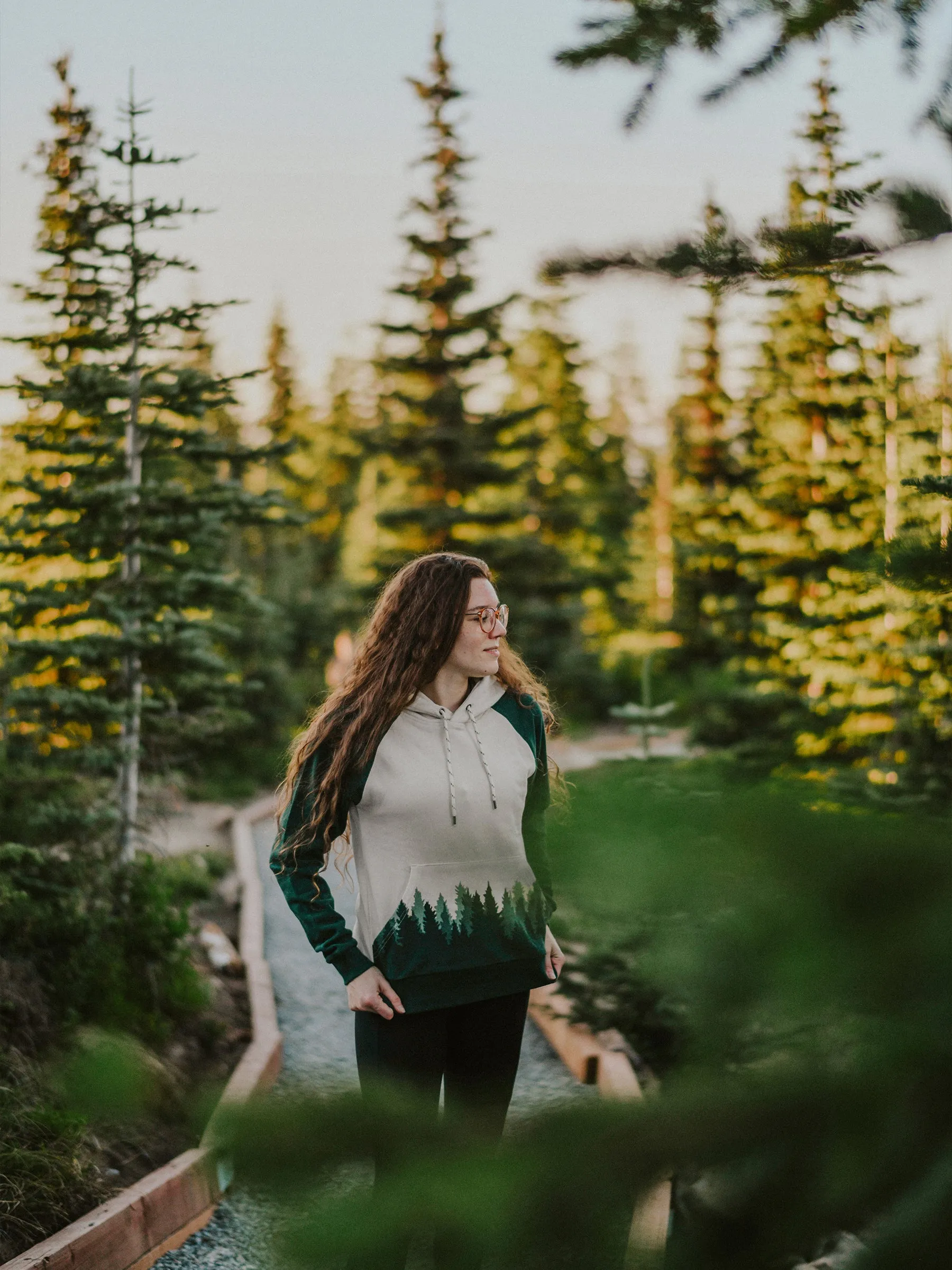 Fading Forest Hoodie